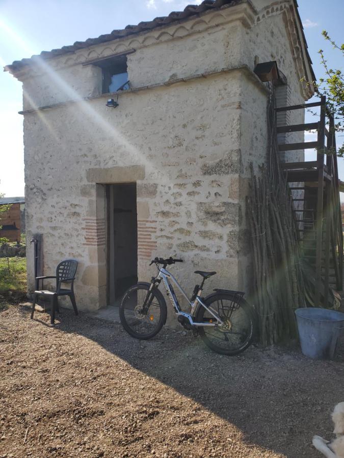 Au Mas De Janita Hotell Cahuzac-sur-Vère Exteriör bild